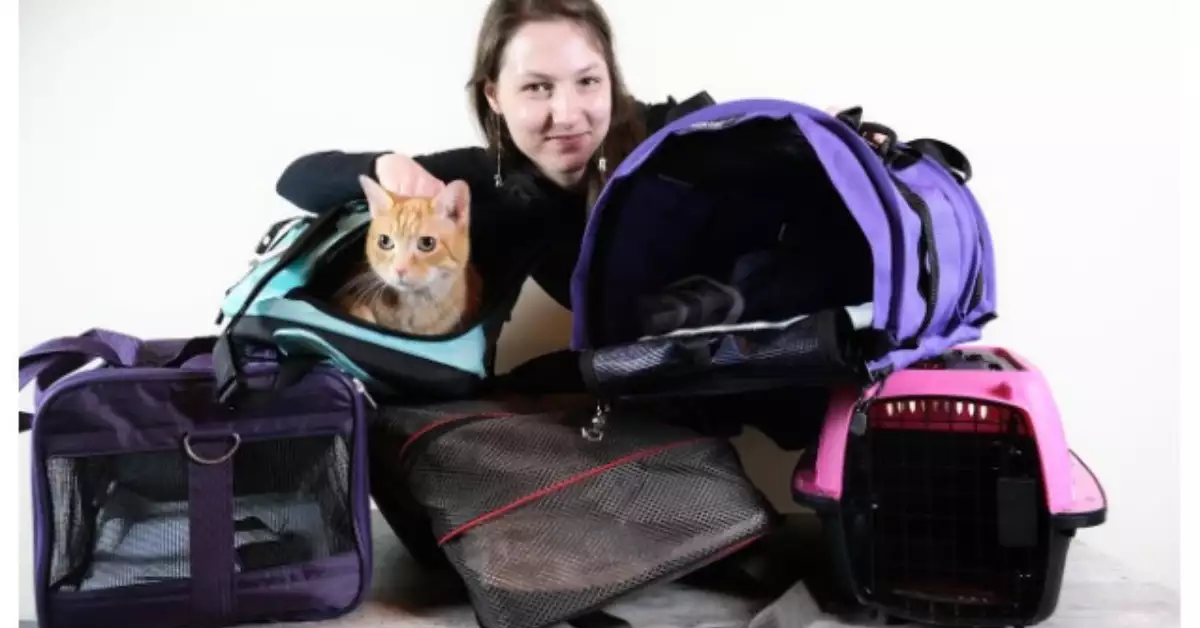 What Size Pet Carrier Is Good for a Cat